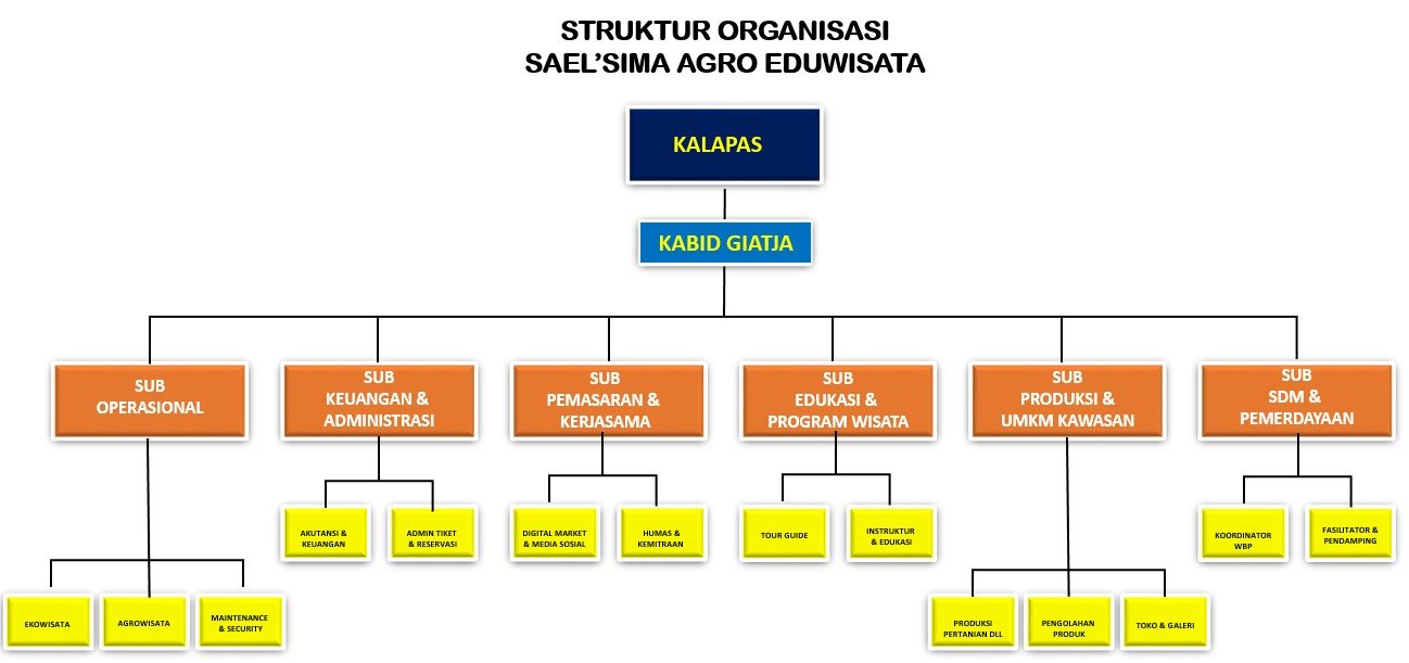 Struktur Organisasi saelsima